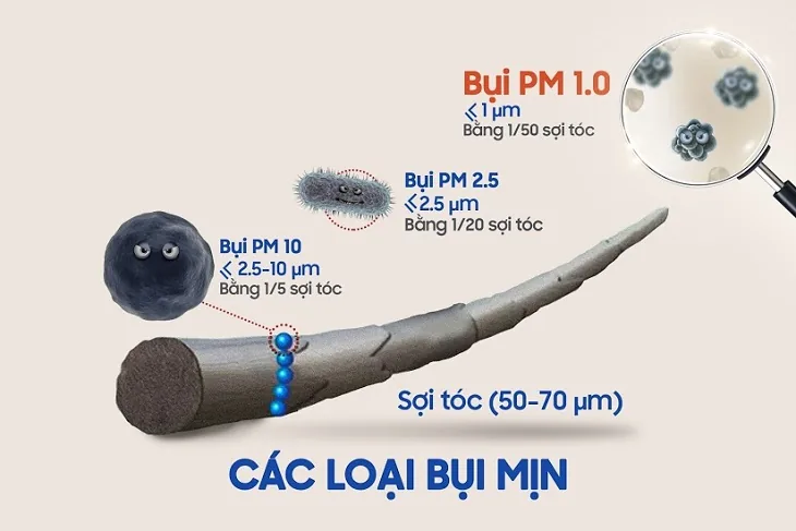 PROTECTING HEALTH FROM THE EFFECTS OF FINE DUST - Image 2 - SANTE Hospital, Binh Thanh District, HCMC