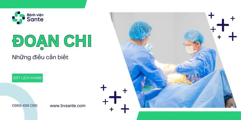 Sante Hospital - What Is Limb Amputation?