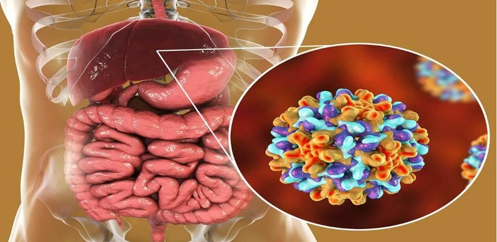 Sante Hospital - Hepatitis B Virus: Transmission Routes and Prevention (Figure 2)