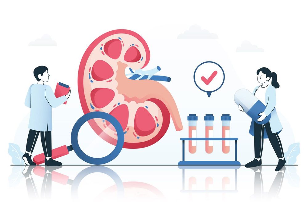 10 Warning Signs of Chronic Kidney Disease You Should Never Ignore
