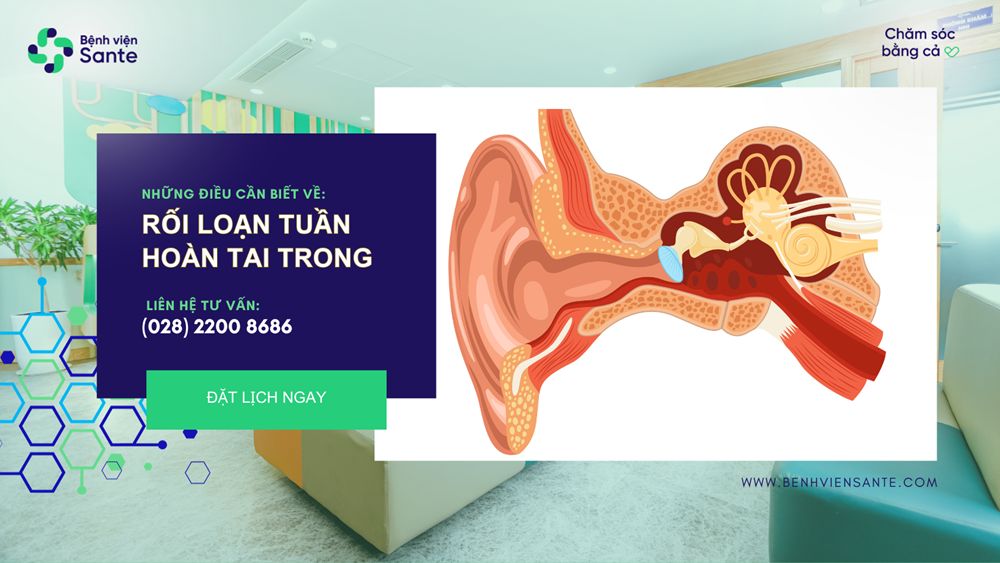 Inner Ear Circulatory Disorders: Essential Clinical Insights