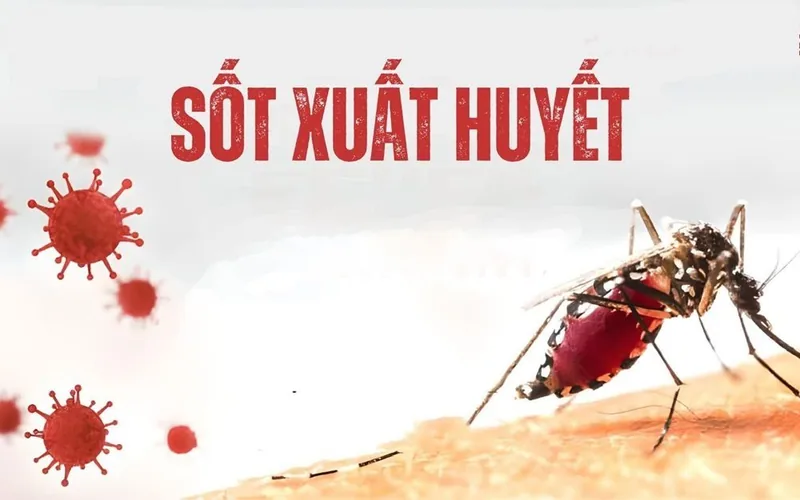 Essential Facts About Dengue Fever