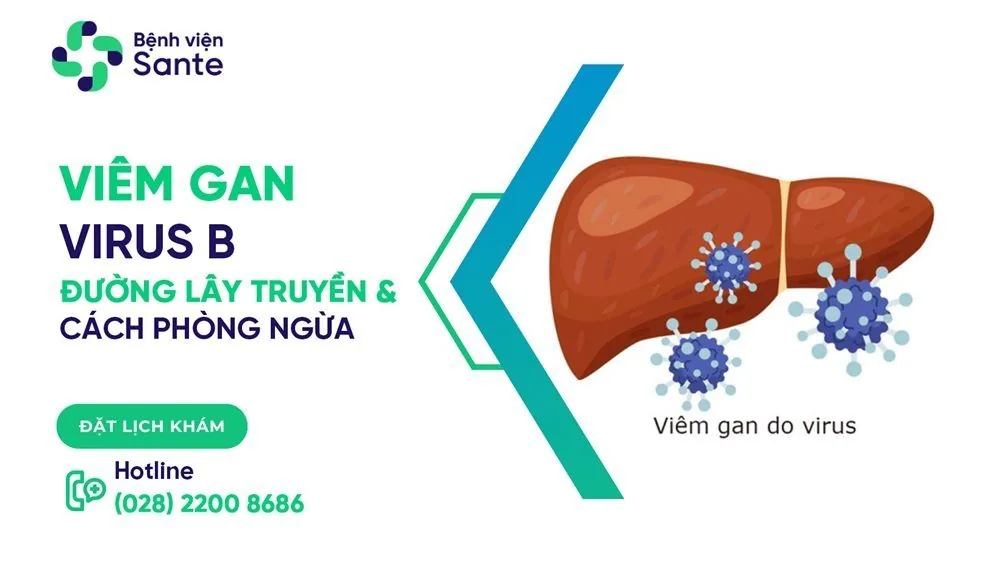 Sante Hospital - Hepatitis B Virus: Transmission Routes and Prevention