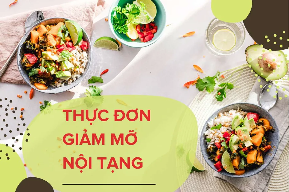 CAUSES OF VISCERAL FAT - Image 4 - SANTE Hospital, Binh Thanh, HCMC