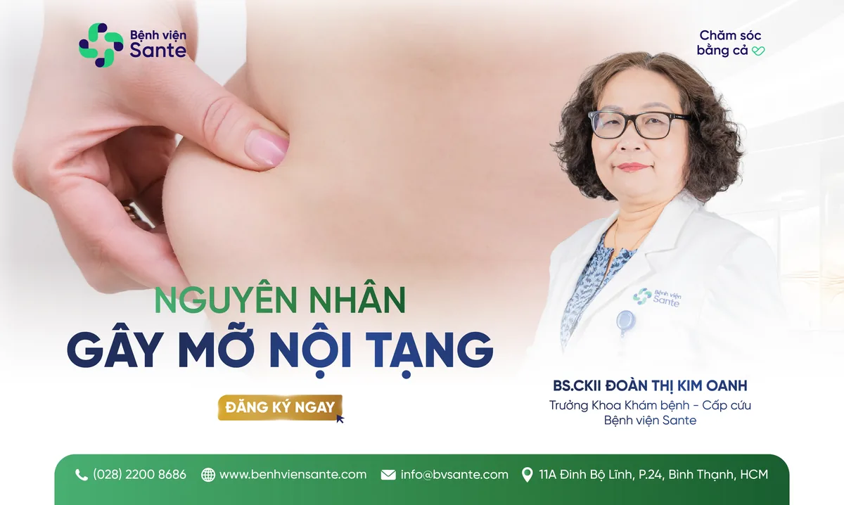 CAUSES OF VISCERAL FAT - SANTE Hospital, Binh Thanh, HCMC CAUSES OF VISCERAL FAT - SANTE Hospital, Binh Thanh, HCMC
