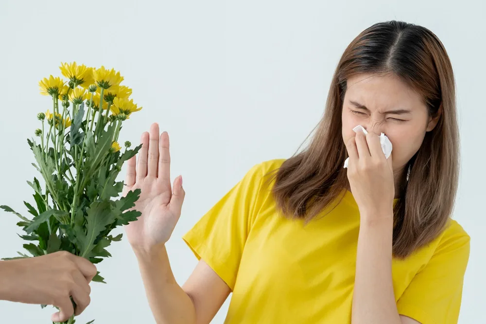 Allergic Rhinosinusitis - Image 2 - SANTE Hospital Binh Thanh, HCMC